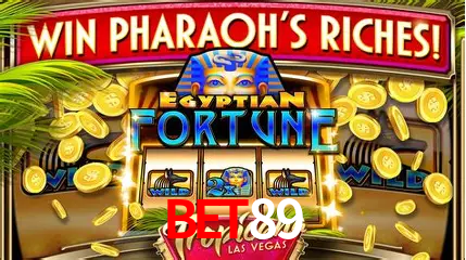 Experiência VIP bet89
